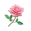 user73947314041540