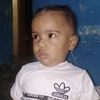qoqis8