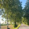 uxnyte