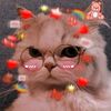 user1814253479092