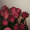 princess_ccf1