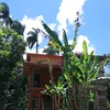 ocantodarosa