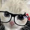 prince.r_ss