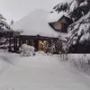 zlatibor.alpska.v