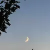 ademileri16