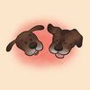 tyson.tilly