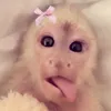 aishaayaaan