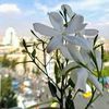 user4006073110460