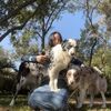 herding_angels