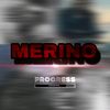 REAL PROFE MERINO