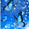 jinnat3469