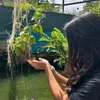 mary_achados1