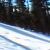 samz2041
