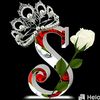 user4962461019819