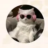 pajievillar