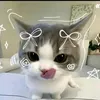 charmie_preety