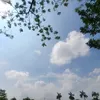 tranvinh27072010