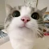 minhcte.006