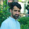 nasib.gul86