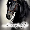baharan34