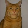 your_pussy1