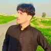 mp___2006