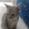 mamah.ku.sayang17