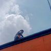vinzz180905