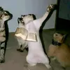 serviteur_du_christ0