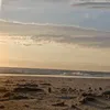 evaaaaaaaaaaaaaaa45