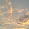 yonszz_324