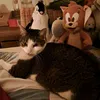 lisaund5