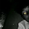 yannlubisss233