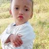 gibina.darai