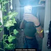 la_menozz.21