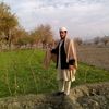 muhammad.adil156