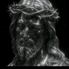 reverse_elestico