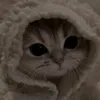 hiba_badia