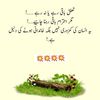 sabakhan8832