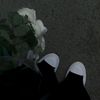 salmaahmad8396