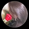 nono_37.n