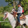 guty6942