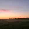 oli.wyspa1
