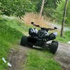 dom239one