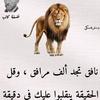 mohamed.h713