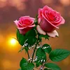 user9600484453076