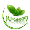 dauncangcino