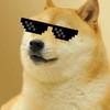 doge8133