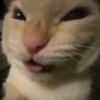 soytacopaco