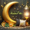 khaled.ali4586